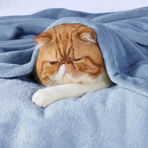 Vista 141 de Bedsure - Manta de vellón, tamaño queen, suave, ligera, afelpada, mullida, acogedora, de microfibra de lujo, color gris claro, 90 x 90 pulgadas