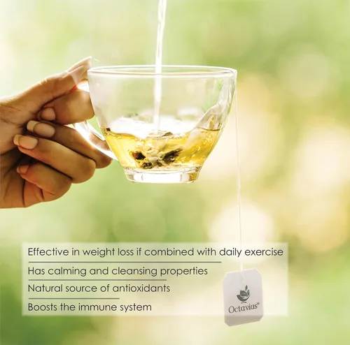 Vista 83 de Octavius Paquete de muestra de té Surtido de tés verdes Té verde de anís canela 50 bolsas de té de doble cámara envueltas Paquete variado