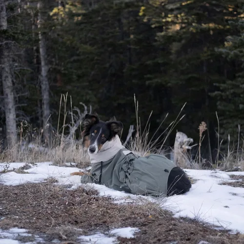 Vista 6 de Midnight Forest - Chaqueta impermeable para perro, ligera y ajustable, impermeable para perro con capucha plegable, talla mediana 50 (S)