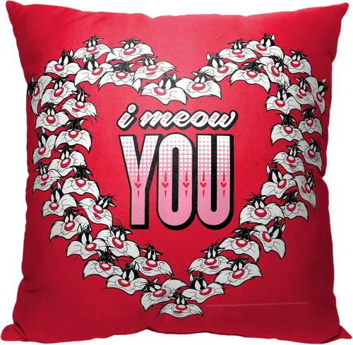 Vista 24 de Northwest Warner Bros. Looney Tunes - Almohada de 18 x 18 pulgadas, soplada