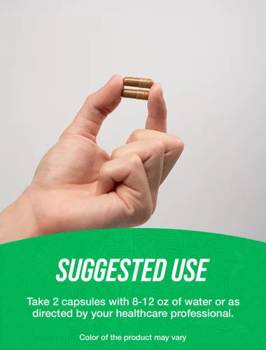 Vista 4 de BulkSupplements. com Mucuna Pruriens Cápsulas – Suplementos herbarios, suplemento de mucuna pruriens, habas de terciopelo – Vegano y sin gluten, 2