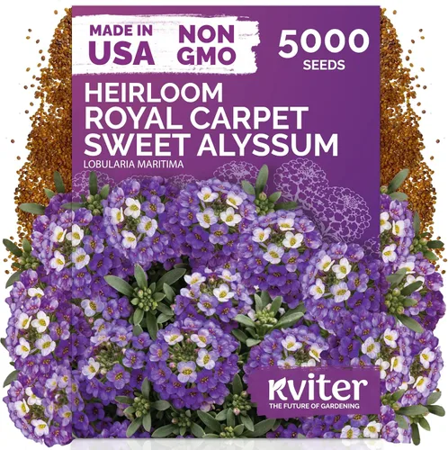 Vista 69 de KVITER Semillas de flores tradicionales