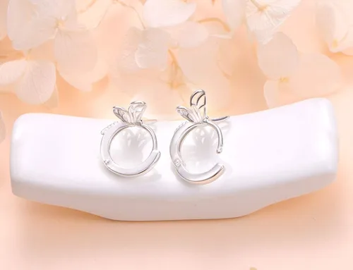 Vista 5 de DAOCHONG Aretes de aro de plata de ley S925 para mujeres, adolescentes y niñas, regalo de joyería de cumpleaños
