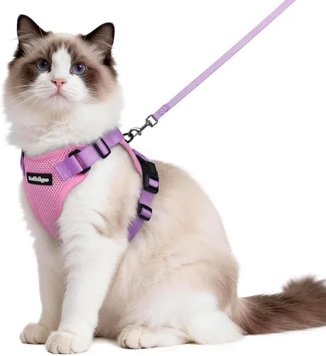 Vista 37 de rabbitgoo Arnés y correa para caminar, a prueba de escapes, chaleco suave y ajustable para gatos, fácil de controlar, transpirable, tiras
