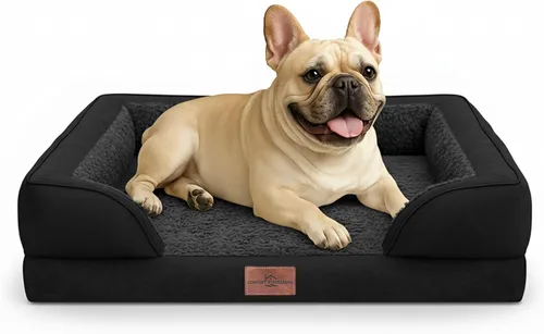 Vista 69 de Comfort Expression - Cama ortopédica para perros pequeños, 20 x 14 pulgadas, cama impermeable y de apoyo de espuma con cojines removibles, sofá