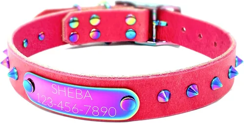 Vista 14 de Collar de perro de cuero con brida hecha a mano, grabado arco iris de acero inoxidable (negro)