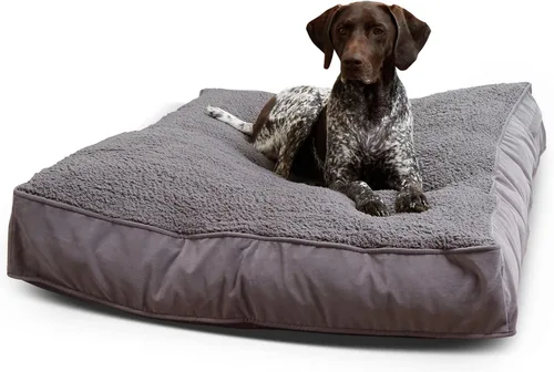 Vista 26 de South Pine Porch Buddy - Cama rectangular reversible de microfibra para perro con funda extraíble, lavable a máquina, cacao, extra pequeña