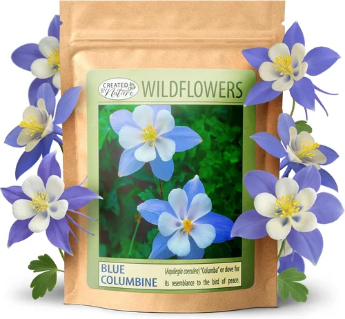 Created By Nature Blue Columbine Flower Seeds, 2,400 semillas perennes, flor del estado de Colorado