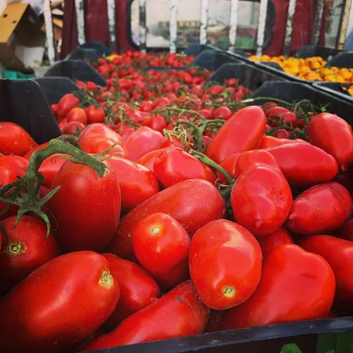 Vista 3 de Tomates 100% italianos Gustarosso DaniCoop – Campania, Italia - 28.8 oz (800g)