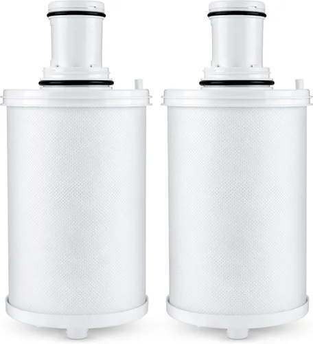 Repuesto de filtro 100186, compatible con Amway eSpring UV Purifier 100185, 100186, 100187, 100188, 100189, 110720, 118384, 2 unidades
