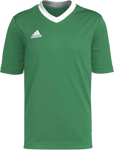 adidas Camiseta Entrada 22 para Niños