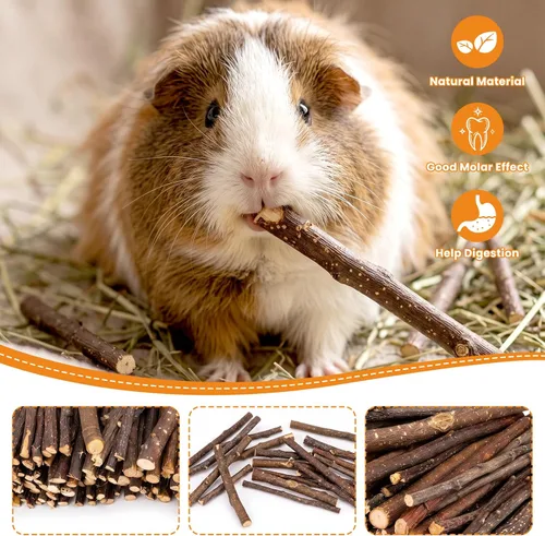 Vista 3 de Palitos de manzana natural de 1 libra para animales pequeños