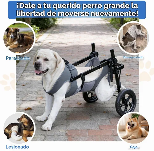 Vista 8 de Snugrance Silla de ruedas grande para perros para patas traseras, carrito de soporte ajustable para silla de ruedas con arnés de malla de aire