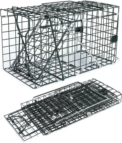 HOMESTEAD Trampa viva plegable de 14 pulgadas – Jaula de trampa para animales pequeños para ardillas rojas, ratas adultas y comadrejas pequeñas con