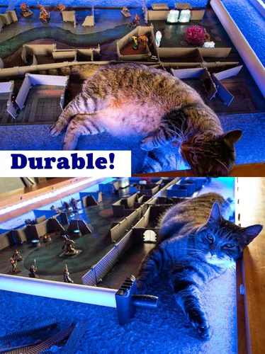 Vista 8 de Dirt Cheap Dungeons - Squire Dungeon Set Modular & Customizable Injection-Molded for Superior Durability TTRPG Accessories for D&D