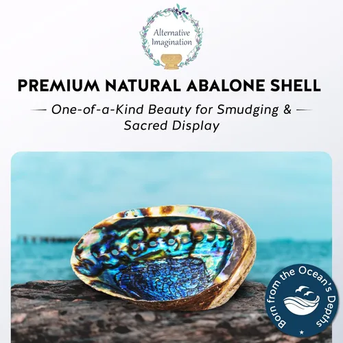 Vista 2 de Alternative Imagination Cáscara de abulón seleccionada a mano, 6 pulgadas o más grande, interior pulido de nácar - Plato a prueba de llama