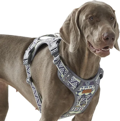 Vista 11 de Arnés para perro sin tirones, chaleco ajustable para perro para caminar fácilmente, material Oxford transpirable, arnés reflectante para mascotas