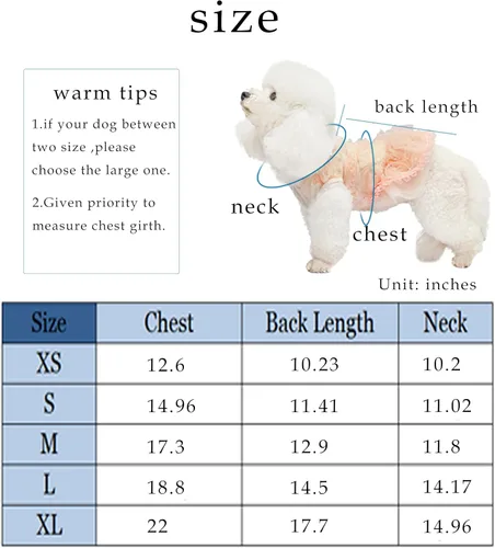 Vista 6 de Vestido de princesa para perro, bonita falda tutú de encaje, ropa de boda para cachorros para perros pequeños y medianos y chihuahua (blanco, S)