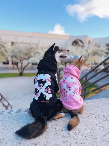 Vista 3 de ChoChoCho Woof - Sudadera con capucha para perro, sudaderas con capucha de perro de diseño para razas pequeñas, medianas y grandes, sudaderas