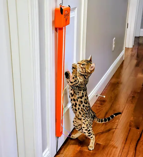 Vista 4 de MOODY PET Fling-AMA-String Cat Toy