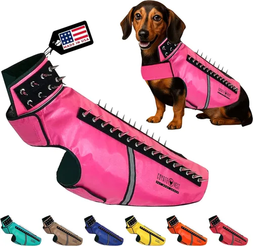 Vista 28 de CoyoteVest SpikeVest - Chaleco de arnés para perro, accesorios reflectantes para perros con picos para proteger a tu mascota de ataques de Raptor