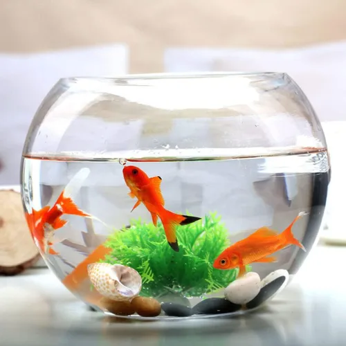 Vista 2 de POPETPOP Cuenco de pescado de vidrio transparente para tanque de escritorio compacto para decoración de oficina en casa para plantas, peces