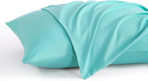 NTBAY Juego de 2 fundas de almohada estándar, paquete de 2 fundas de almohada de microfibra cepillada de 20x26, suaves, resistentes a las arrugas, a