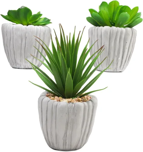 Vista 2 de Ebros Gift Juego de 3 plantas suculentas de helecho botánico artificiales realistas en macetas texturizadas de cemento gris, plantas sintéticas