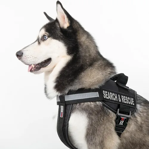 Vista 5 de Dogline Unimax - Arnés multiusos para perros y 2 parches extraíbles de búsqueda y rescate, pequeño, color negro