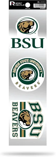 Vista 139 de NCAA - Juego de calcomanías retro Spirit de 3 piezas