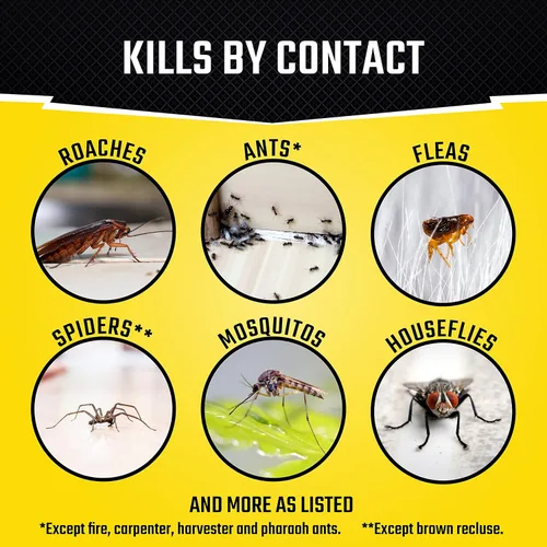 Vista 3 de Black Flag Nebulizador concentrado, 6 latas de 1.25 onzas, insecticida de interior, 1 paquete