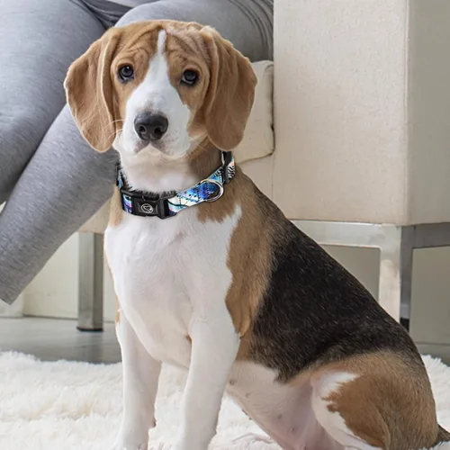 Vista 8 de Collar de perro para perros medianos y pequeños, collar ajustable para cachorros, diseño de flores de primavera, collares de perro elegante