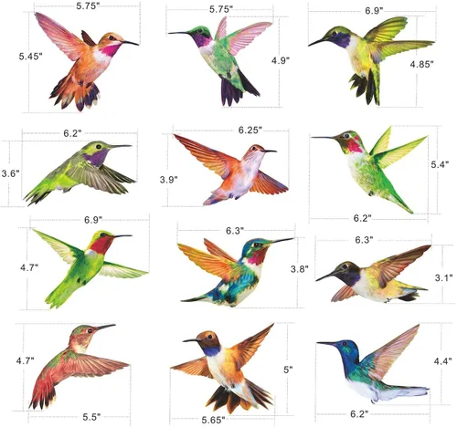 Vista 2 de Calcomanías anticolisión para ventana de alerta de pájaros, para evitar golpes de pájaros en el cristal de la ventana, juego de 12 colibríes