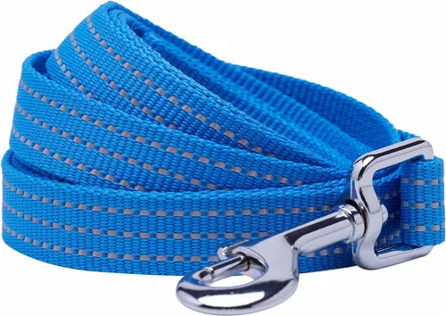 Blueberry Pet Essentials - Correa reflectante Back to Basics, azul francés, 5 pies x 5/8 pulgadas, pequeña, correas para perros