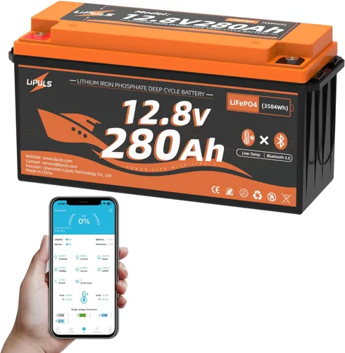 Vista 8 de Batería de litio LiFePO4 de 12 V 100 Ah, batería de litio grupo 24 integrada BMS de 100 A y celdas de grado A, 15000 ciclos, energía máxima de 1280