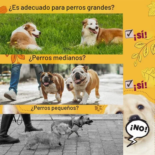 Vista 6 de Correa doble para perro para dos perros, resistente ajustable sin enredos, correa elástica retráctil dividida múltiple para caminar a 2 perros, 5.5