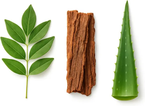 Vista 4 de Limpieza y desintoxicación de 15 días - Apoya la salud digestiva, la regularidad y la limpieza intestinal - A base de hierbas con probióticos