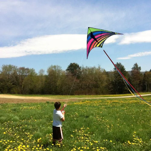 Vista 2 de Mint's Colorful Life Easy to Fly Delta Kite and Kite - Bobinador de carrete con cuerda de 600 pies
