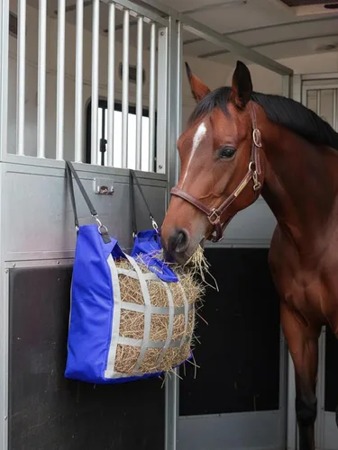 Vista 6 de Harrison Howard Bolsa de heno duradera para caballos de alta calidad, bolsa de heno de alimentación lenta de tela impermeable, bolsa de caballo