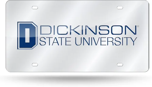 Vista 43 de Rico Industries Placa de matrícula de metal con incrustaciones láser de Florida Gators de la NCAA
