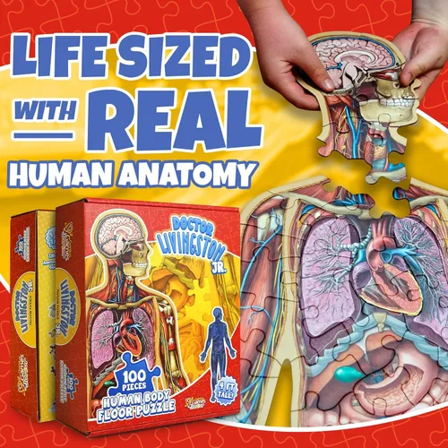 Vista 2 de Human Anatomy - Rompecabezas de suelo para niños, rompecabezas de cuerpo completo de 100 piezas del Dr. Livingston Jr, rompecabezas de suelo de 4