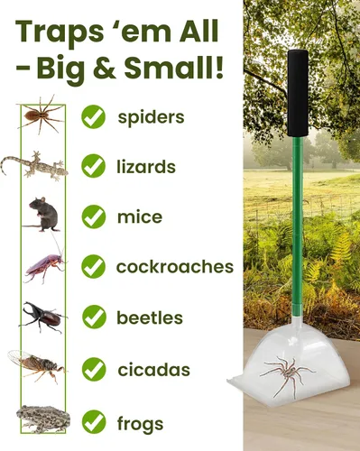 Vista 3 de Trampa para insectos acrílica humana Katcha - Herramienta de captura y liberación de arañas de 25" de largo con contenedor de plástico grande