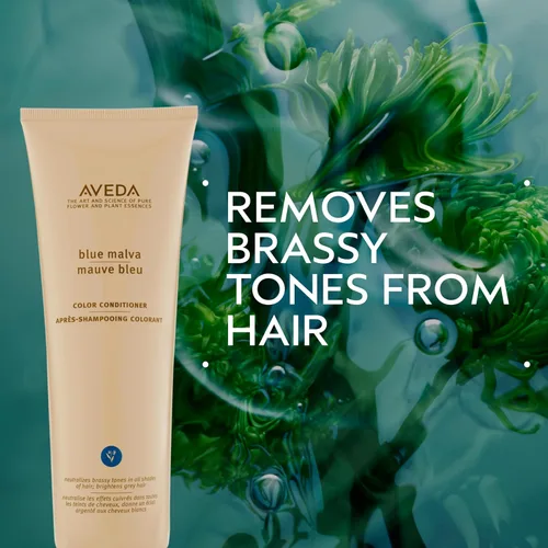 Vista 2 de Aveda Blue Malva - Acondicionador de color morado para cabello plateado, gris y rubio, neutraliza el cobrizo, acondiciona profundamente el cabello