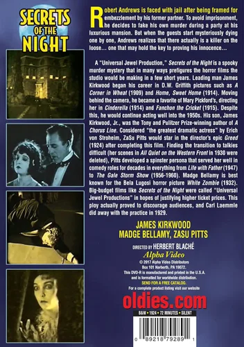 Vista 2 de Secrets of the Night Silent