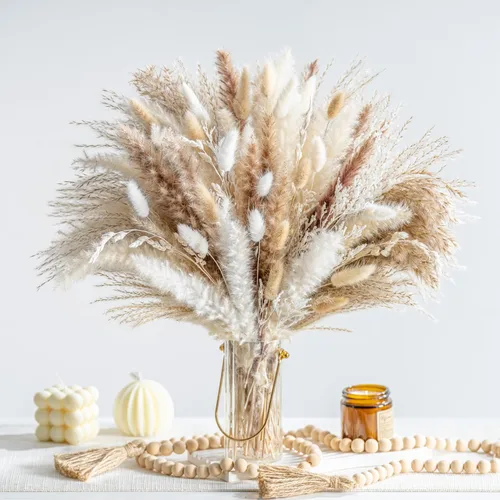 Vista 8 de 300PCS Hierba de Pampas Seca Natural Decoración del Hogar Boho Ramo Phragmites Ramo de Flores Secas para Arreglos Florales de Boda Decoraciones