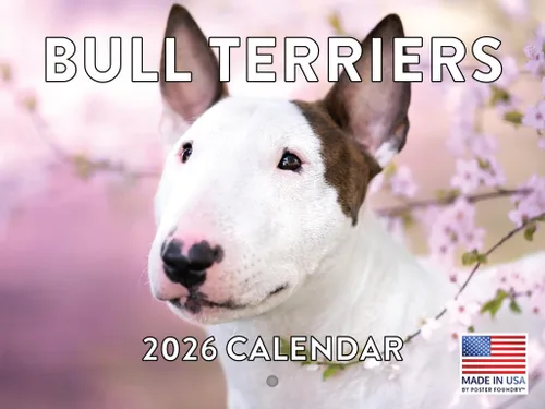 Vista 141 de Calendario de pared mensual 2025 Great Dane de 12 meses, fabricado en Estados Unidos