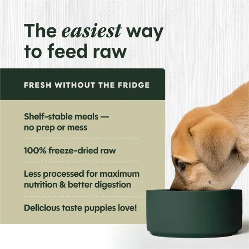 Vista 3 de Instinct Puppy FreshDried Bites, alimento natural liofilizado para perros, sin granos, pollo sin jaulas, bolsa de 25 onzas