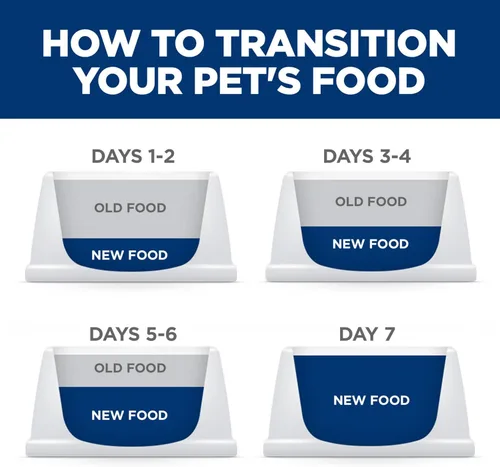 Vista 8 de Hill's Science Diet Kitten, Kitten Premium Nutrition, Alimento seco para gatos, sin maíz, trigo, pollo con soja y arroz integral, bolsa de 3.5 libras