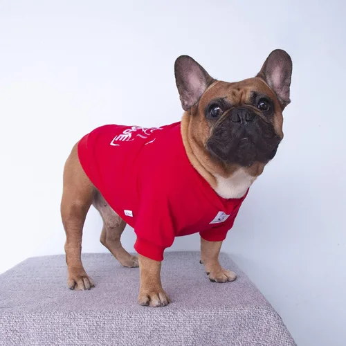 Vista 4 de iChoue Sudadera de Bulldog Francés Bordado Ropa para Perro para Pug Frenchie Inglés Amarican Pitbull Boston Terrier - RojoMediano