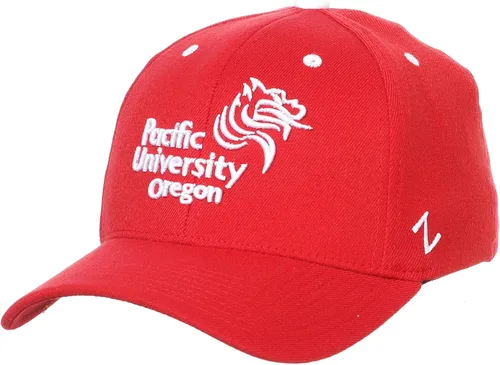 Vista 44 de ZHATS - Sombrero ajustado elástico para hombre de la NCAA, color del